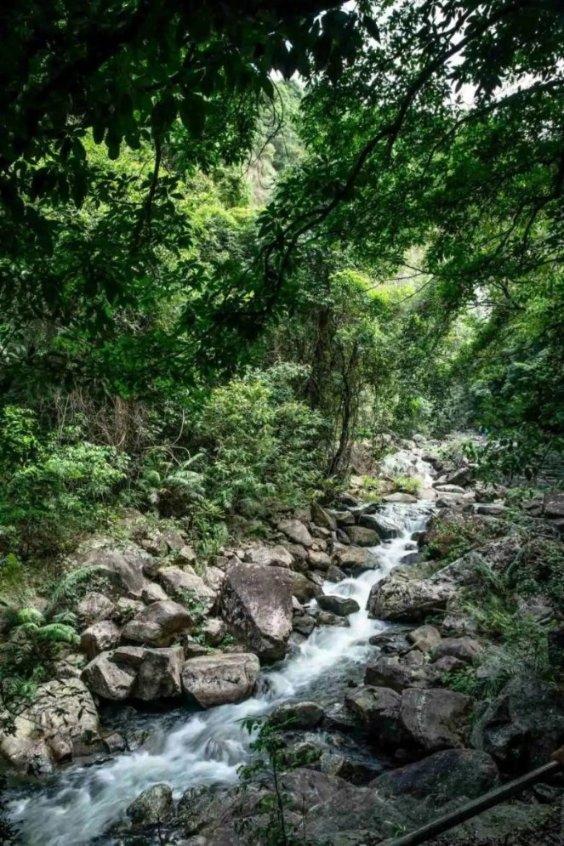逃离粉红岛